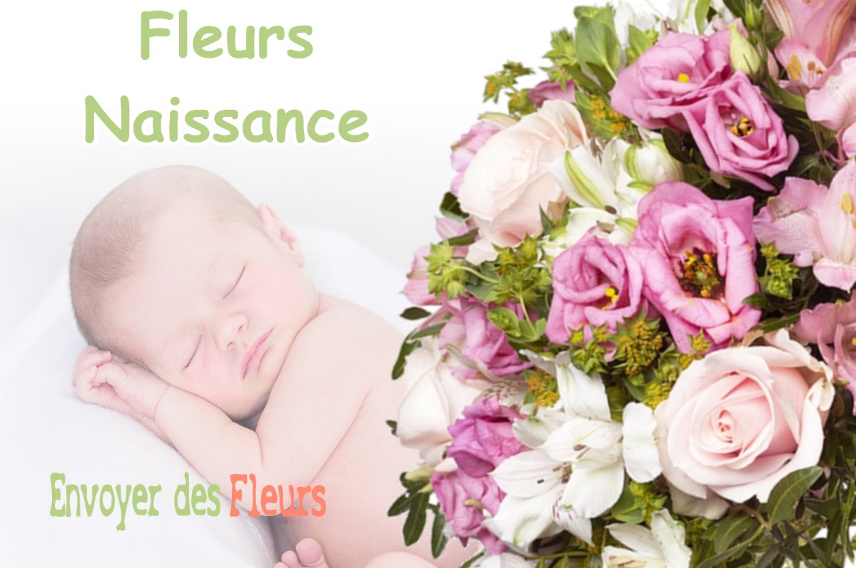 lIVRAISON FLEURS NAISSANCE à VALENTINE